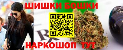ешки Камышлов