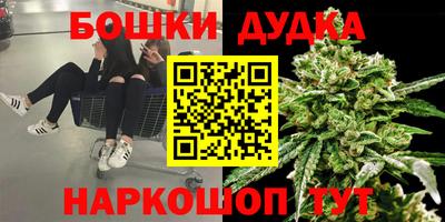 ешки Камышлов