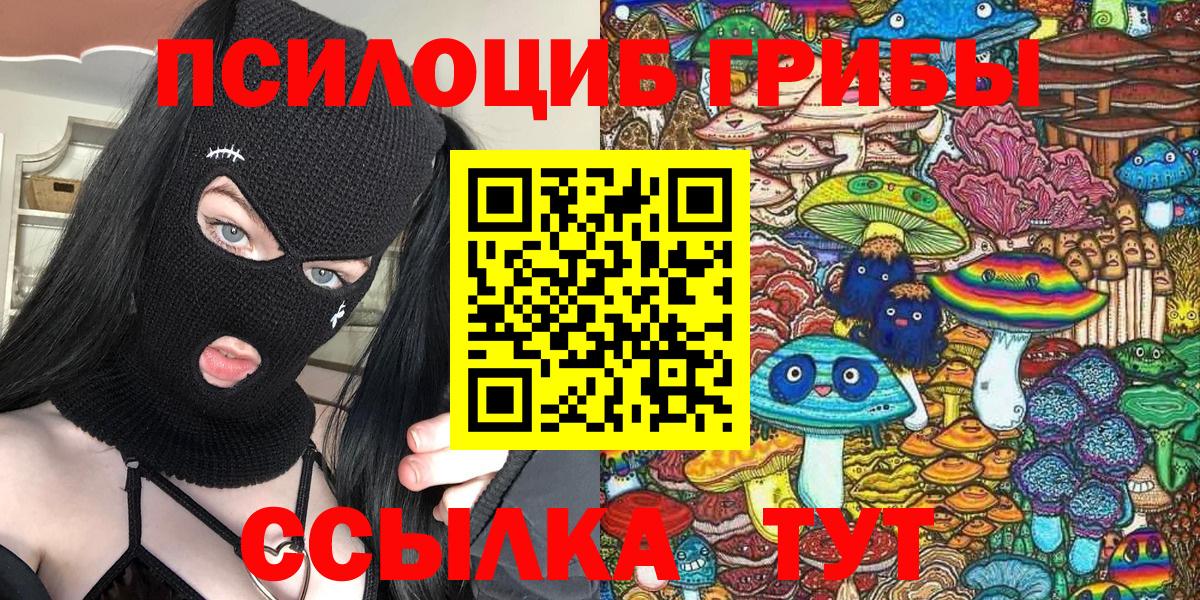 Краснознаменск  купить наркотик  Вход с VPN  Псилоцибиновые грибы Psilocybe 